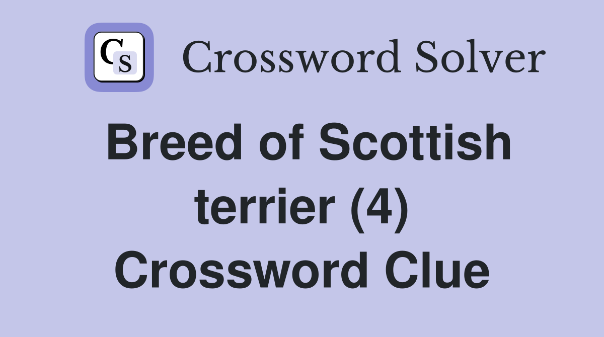 Breed of Scottish terrier (4) Crossword Clue
