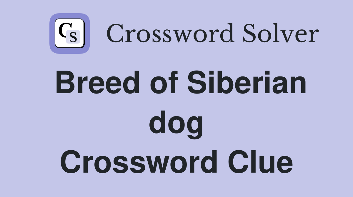 Breed of Siberian dog Crossword Clue