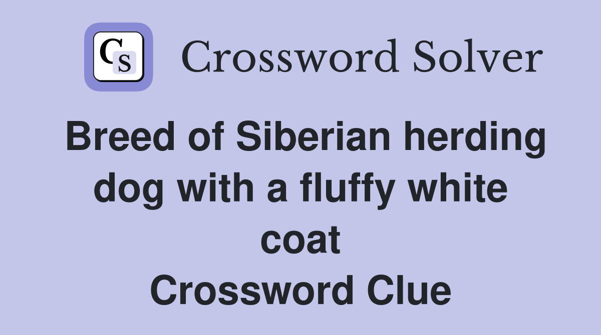 Breed of Siberian herding dog with a fluffy white coat Crossword Clue