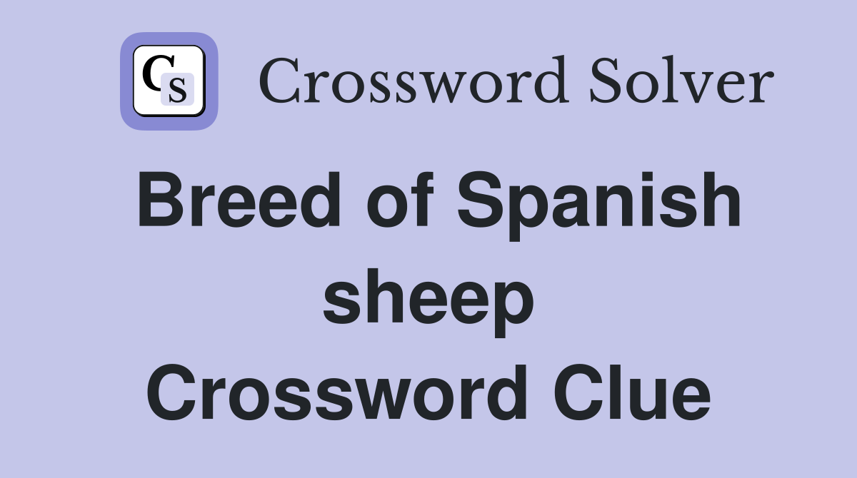Breed of Spanish sheep Crossword Clue
