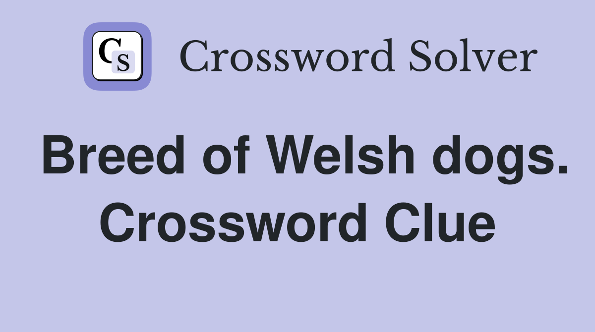 Breed of Welsh dogs. Crossword Clue