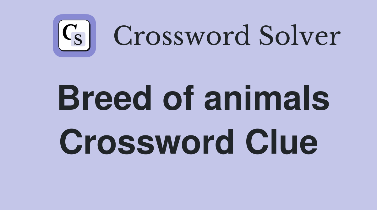 Breed of animals Crossword Clue