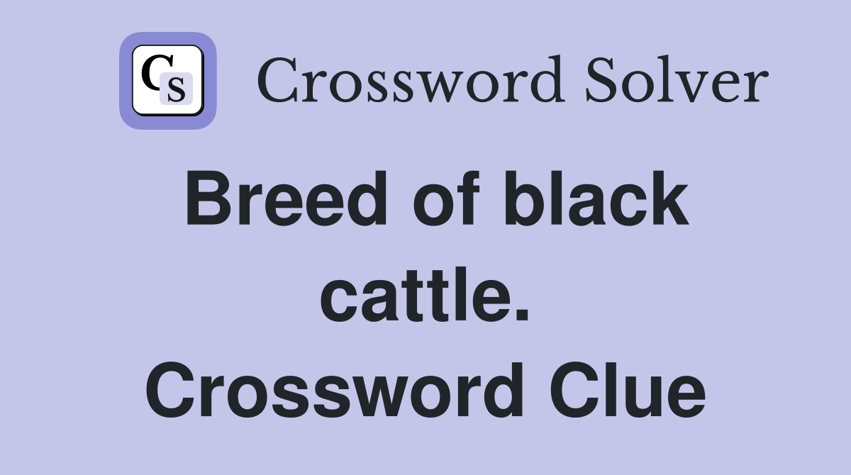 Breed of black cattle. Crossword Clue