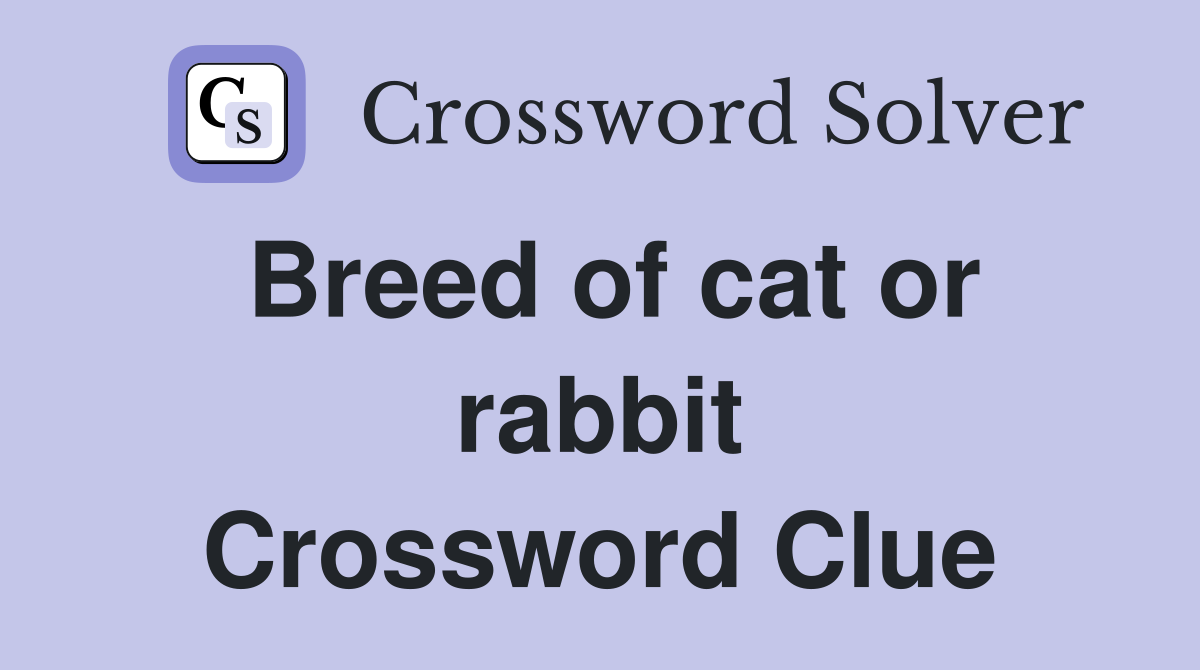 Breed of cat or rabbit Crossword Clue
