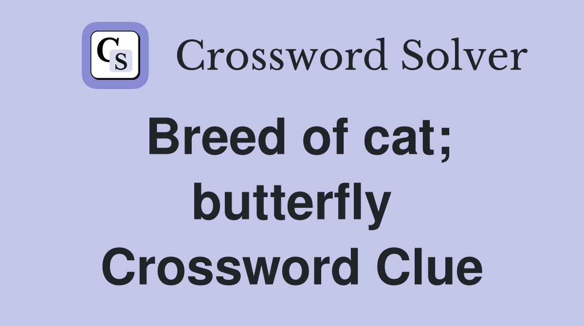 Breed of cat; butterfly Crossword Clue