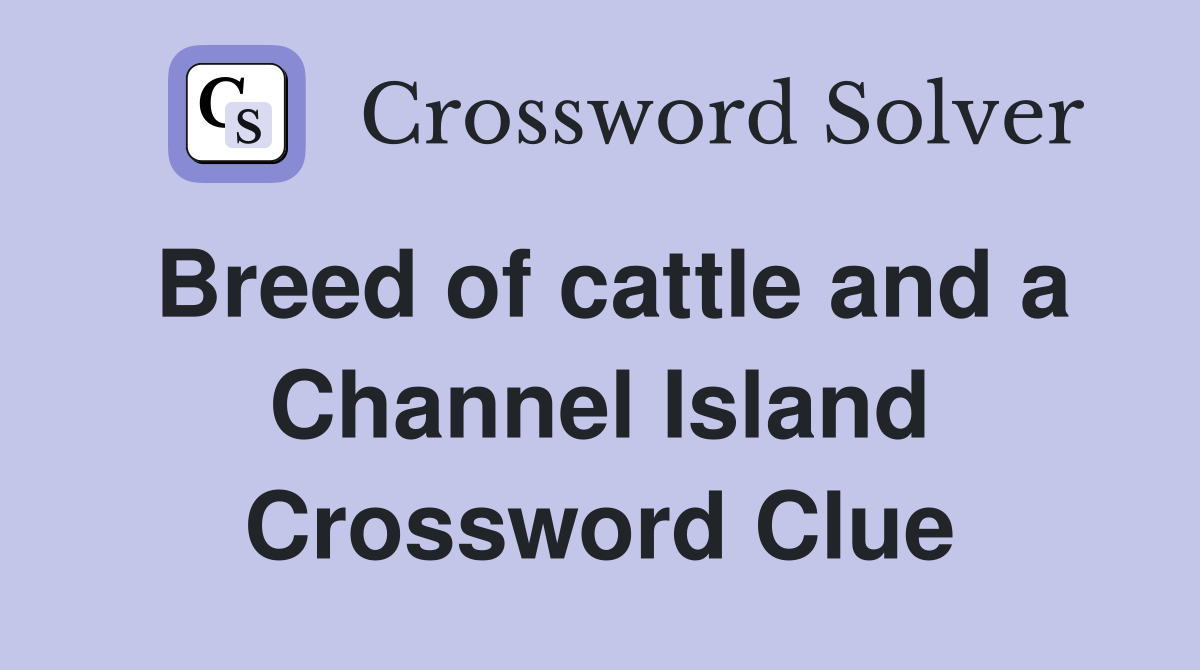 Breed of cattle and a Channel Island Crossword Clue
