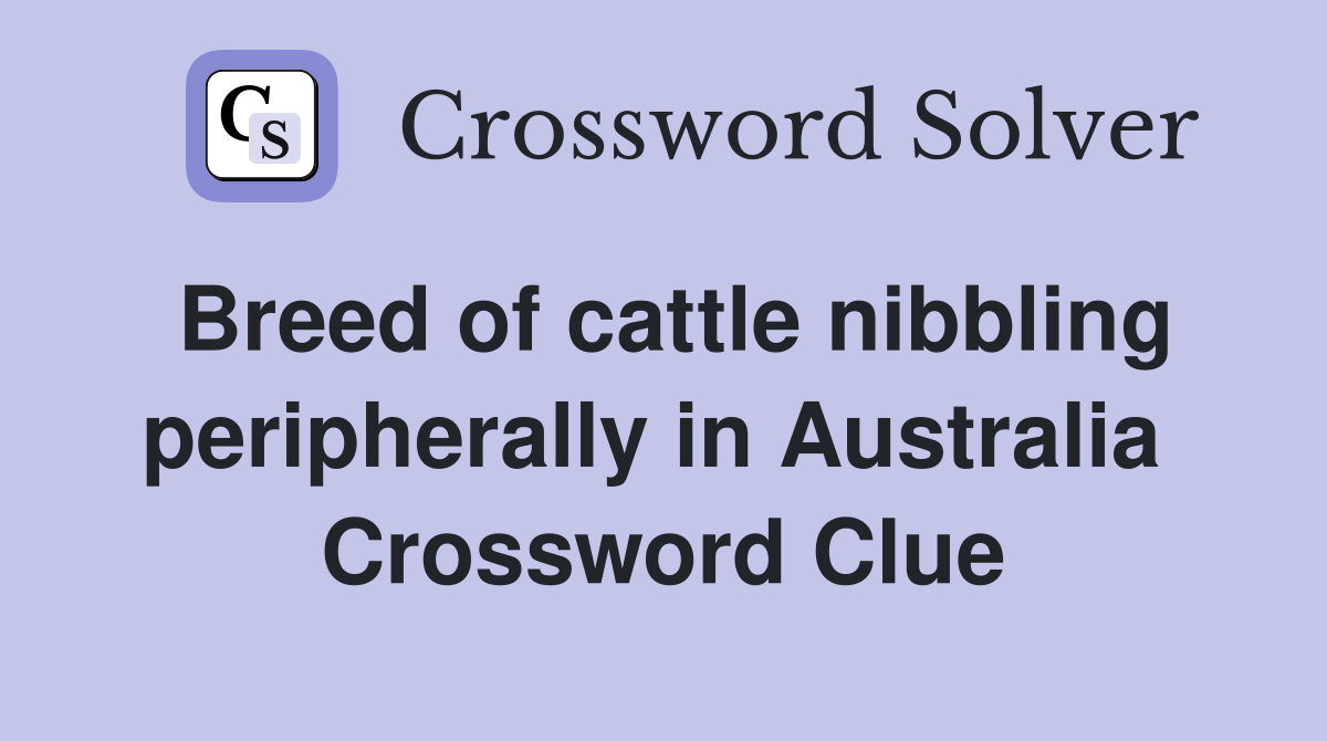 Breed of cattle nibbling peripherally in Australia  Crossword Clue