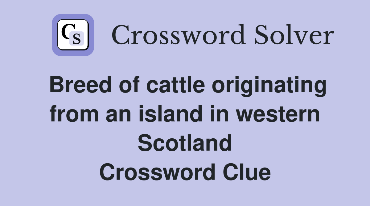 Breed of cattle originating from an island in western Scotland Crossword Clue