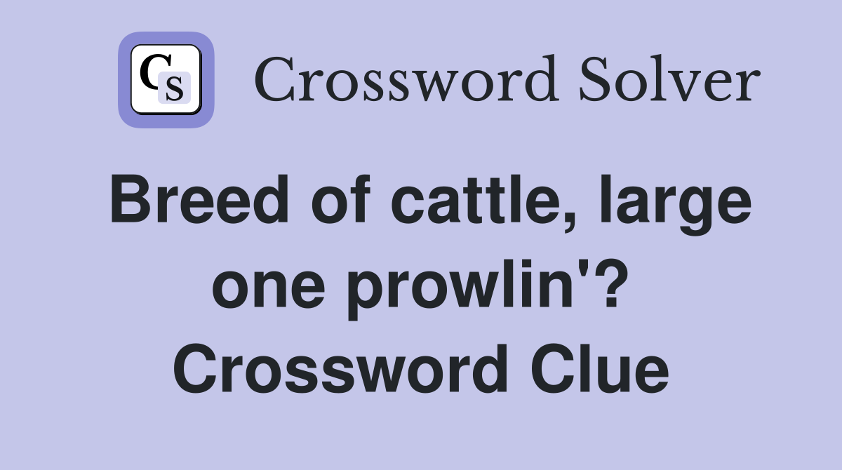 Breed of cattle, large one prowlin'? Crossword Clue