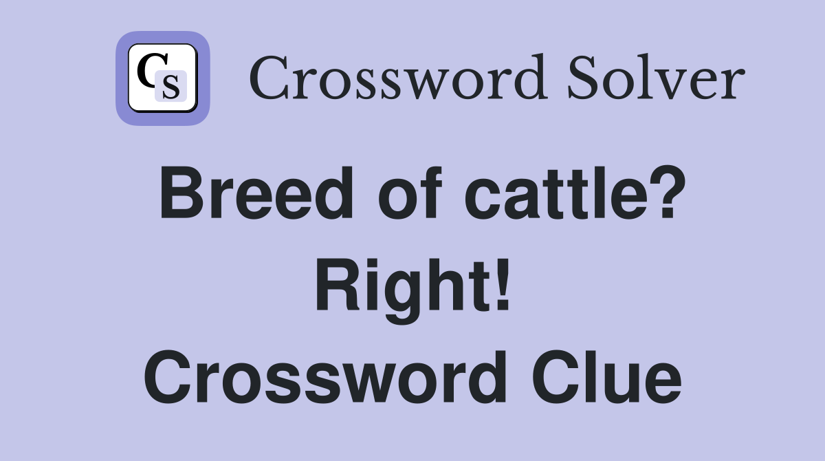 Breed of cattle? Right! Crossword Clue