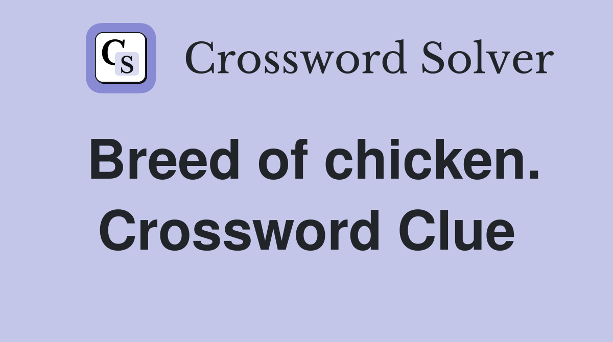 Breed of chicken. Crossword Clue
