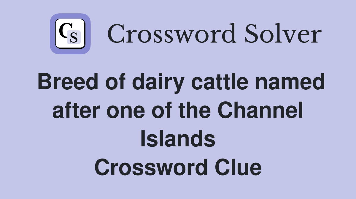 Breed of dairy cattle named after one of the Channel Islands Crossword Clue