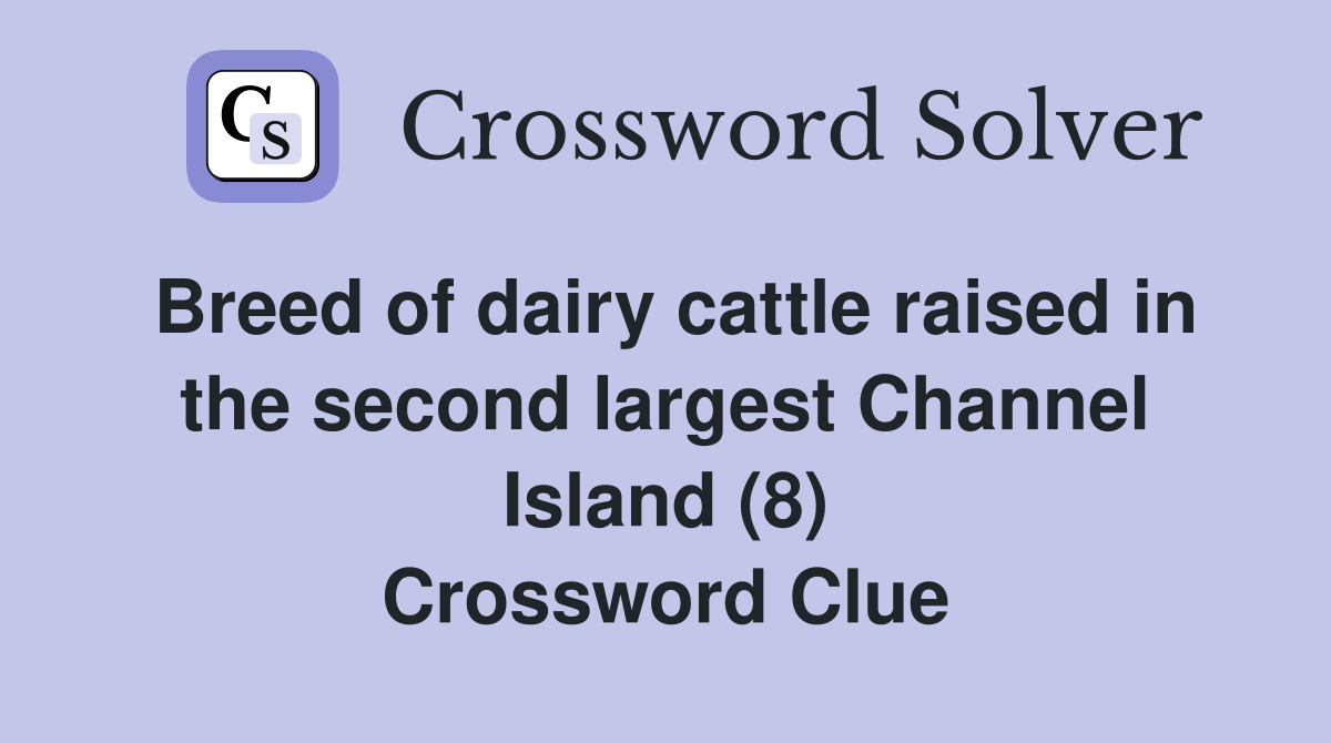 Breed of dairy cattle raised in the second largest Channel Island (8) Crossword Clue