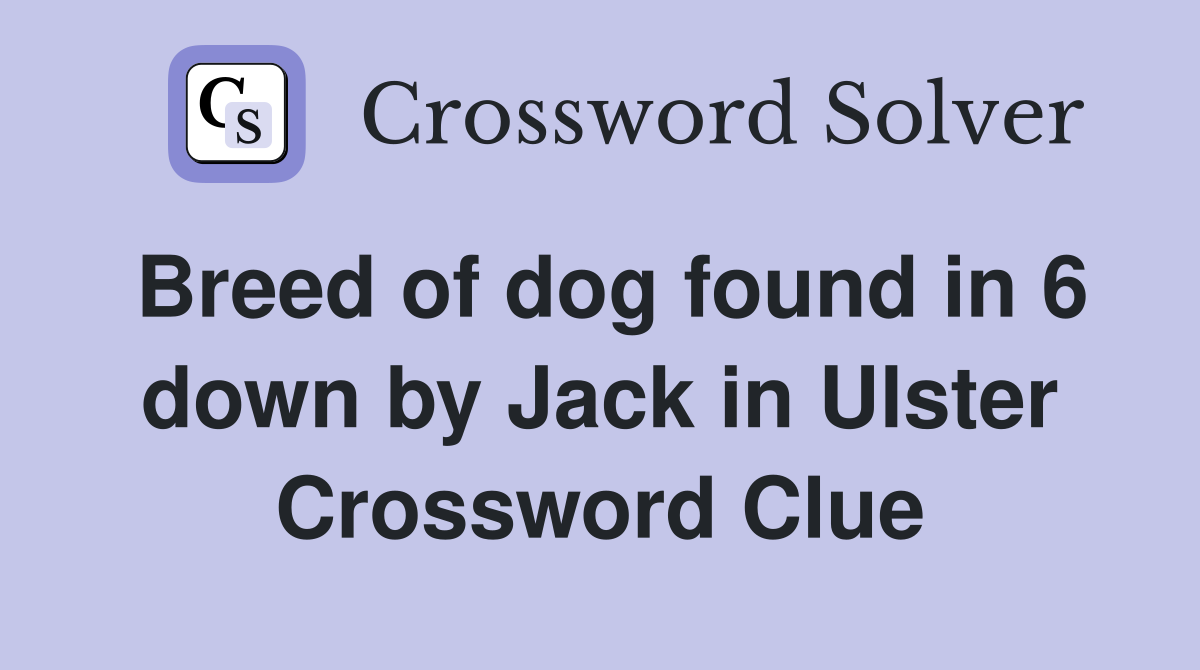 Breed of dog found in 6 down by Jack in Ulster Crossword Clue