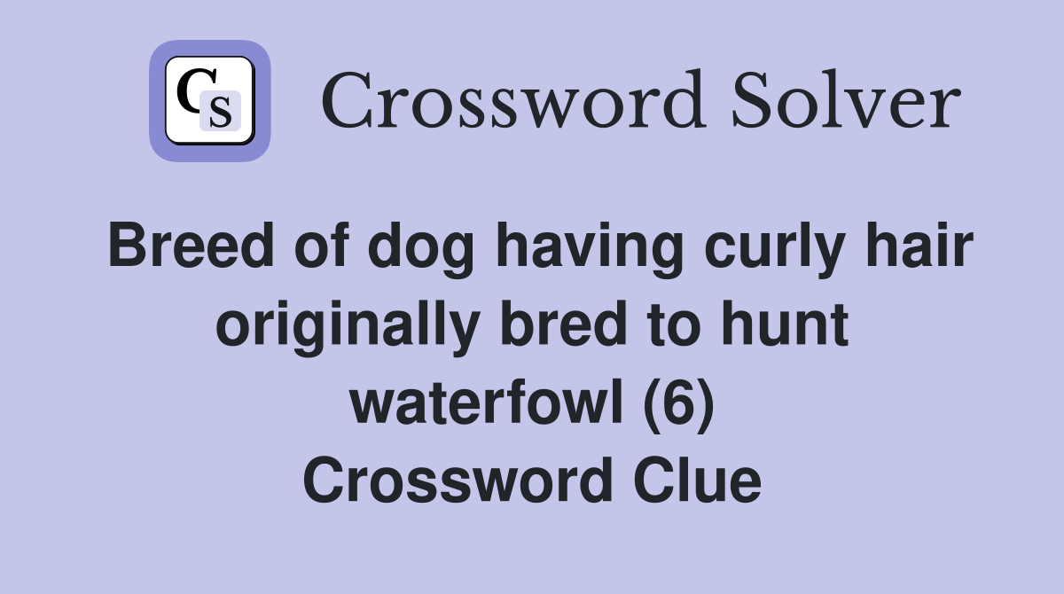 Breed of dog having curly hair originally bred to hunt waterfowl (6) Crossword Clue