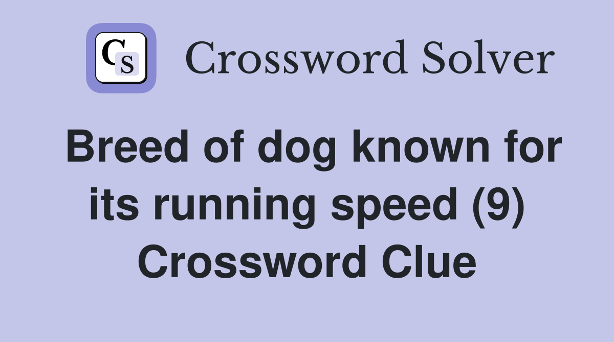 Breed of dog known for its running speed (9) Crossword Clue