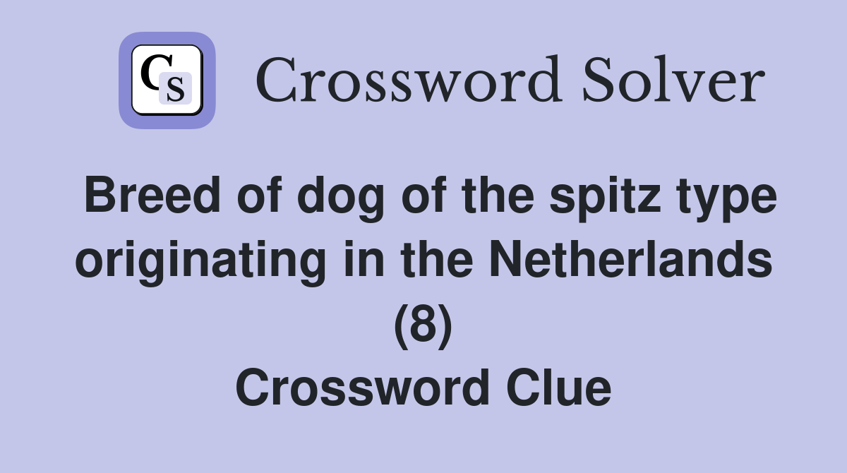 Breed of dog of the spitz type originating in the Netherlands (8) Crossword Clue