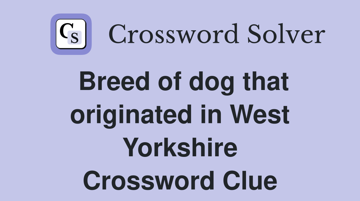 Breed of dog that originated in West Yorkshire Crossword Clue