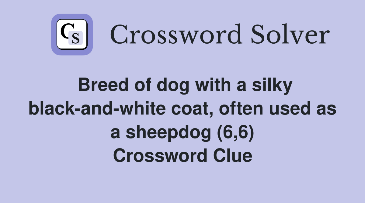 Breed of dog with a silky black-and-white coat, often used as a sheepdog (6,6) Crossword Clue