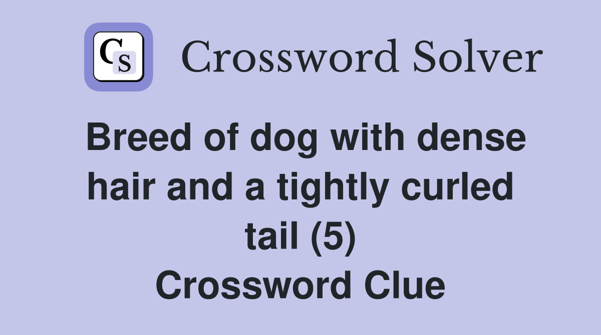 Breed of dog with dense hair and a tightly curled tail (5) Crossword Clue