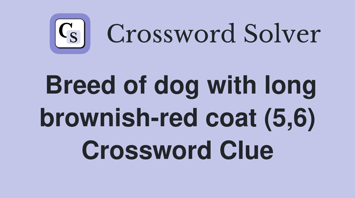 Breed of dog with long brownish-red coat (5,6) Crossword Clue