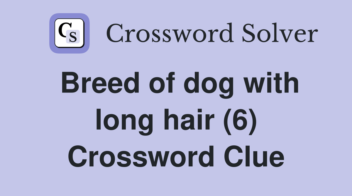 Breed of dog with long hair (6) Crossword Clue