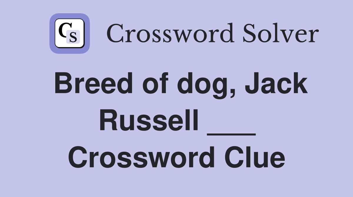 Breed of dog, Jack Russell ___ Crossword Clue