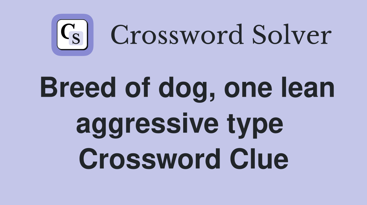 Breed of dog, one lean aggressive type  Crossword Clue