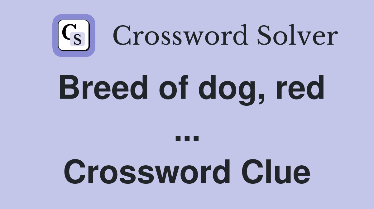 Breed of dog, red ... Crossword Clue
