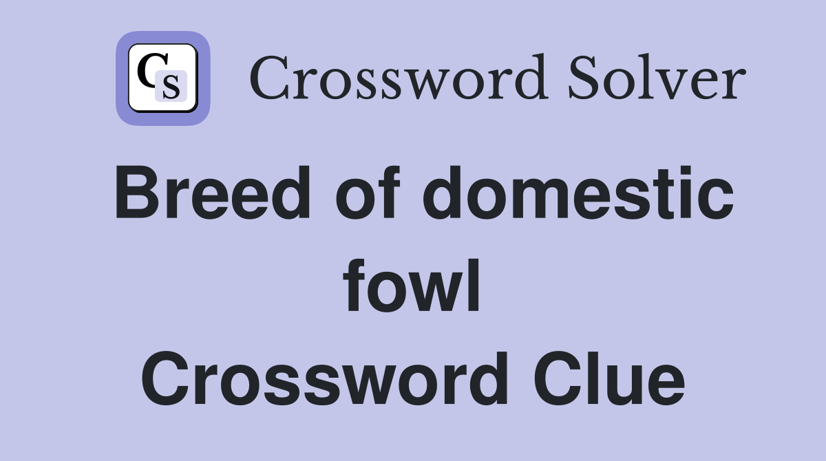 Breed of domestic fowl Crossword Clue