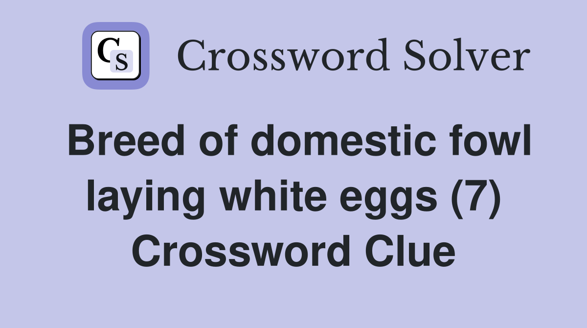 Breed of domestic fowl laying white eggs (7) Crossword Clue