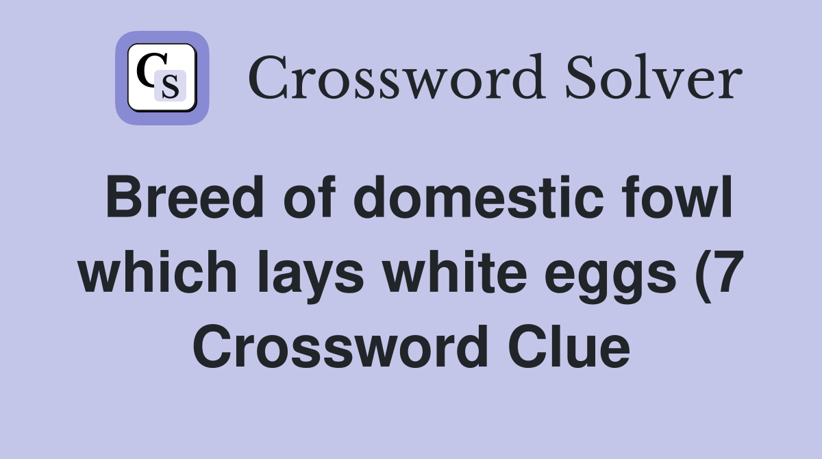 Breed of domestic fowl which lays white eggs (7) Crossword Clue Breed of domestic fowl which lays white eggs (7) Crossword Clue