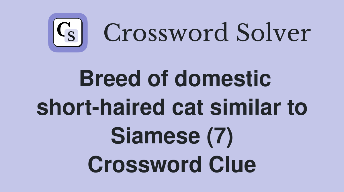 Breed of domestic short-haired cat similar to Siamese (7) Crossword Clue