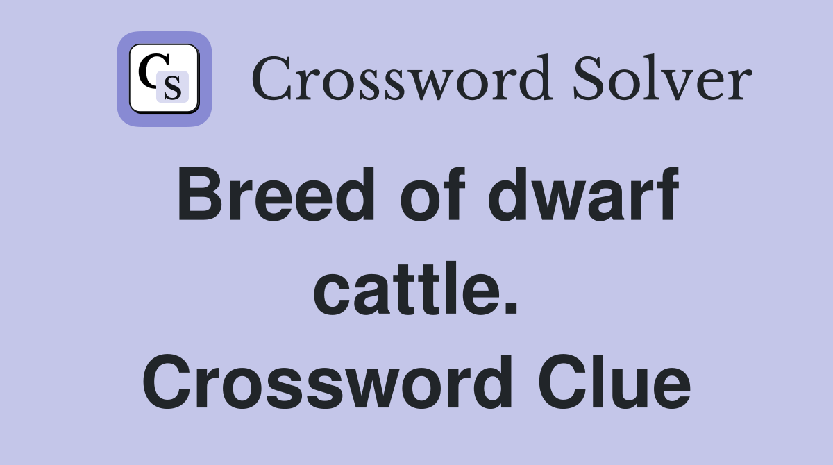 Breed of dwarf cattle. Crossword Clue