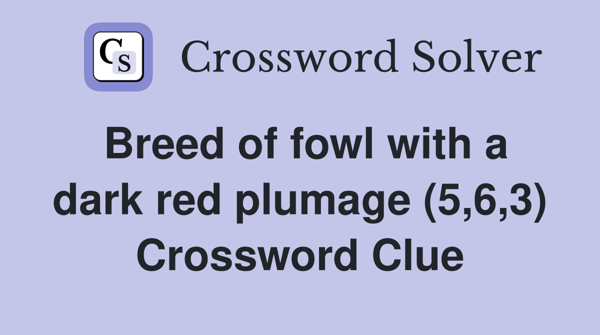 Breed of fowl with a dark red plumage (5,6,3) Crossword Clue