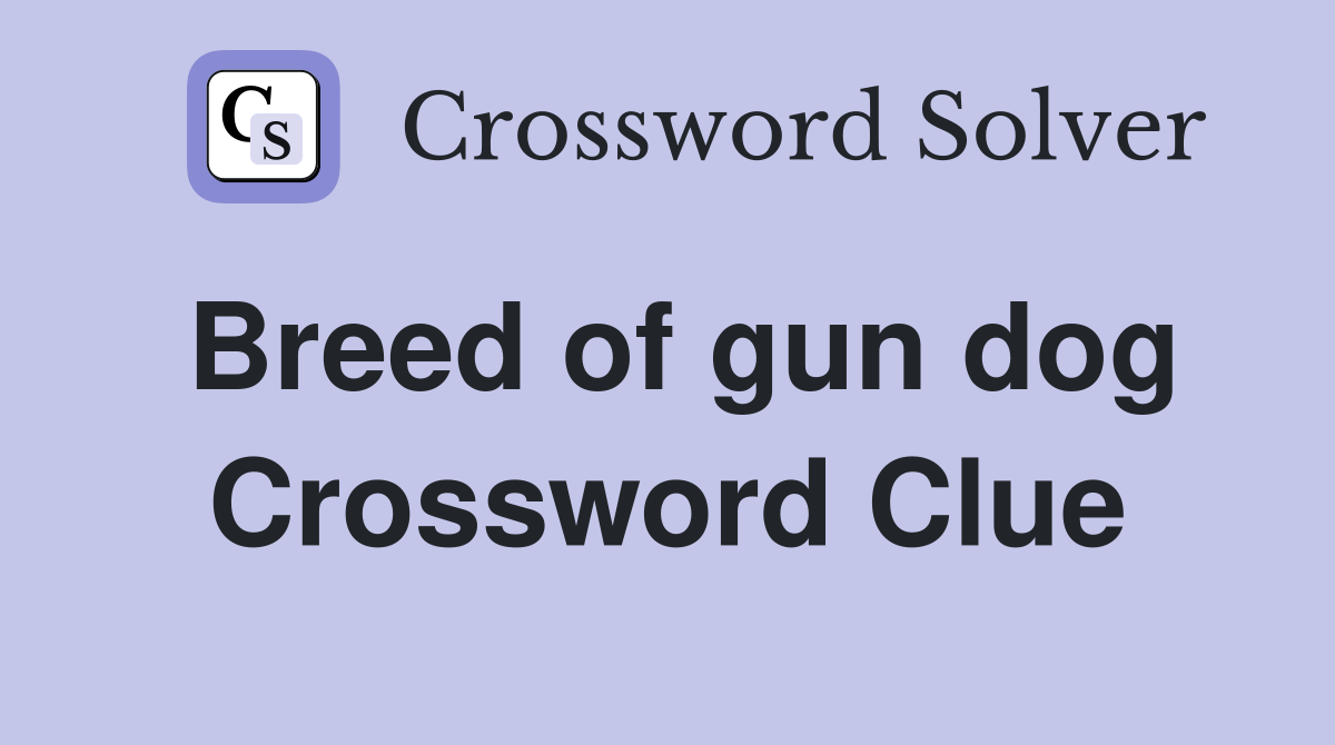 Breed of gun dog Crossword Clue