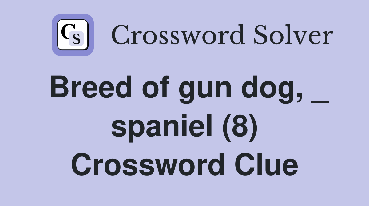 Breed of gun dog, _ spaniel (8) Crossword Clue