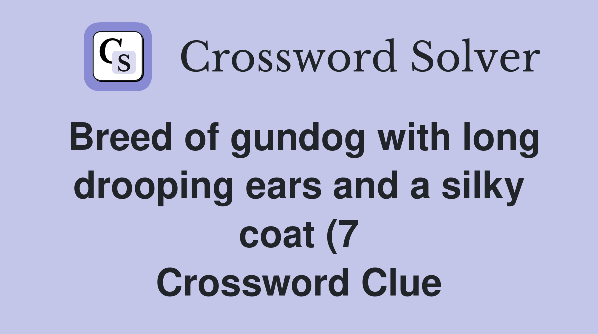 Breed of gundog with long drooping ears and a silky coat (7 Breed of gundog with long drooping ears and a silky coat (7