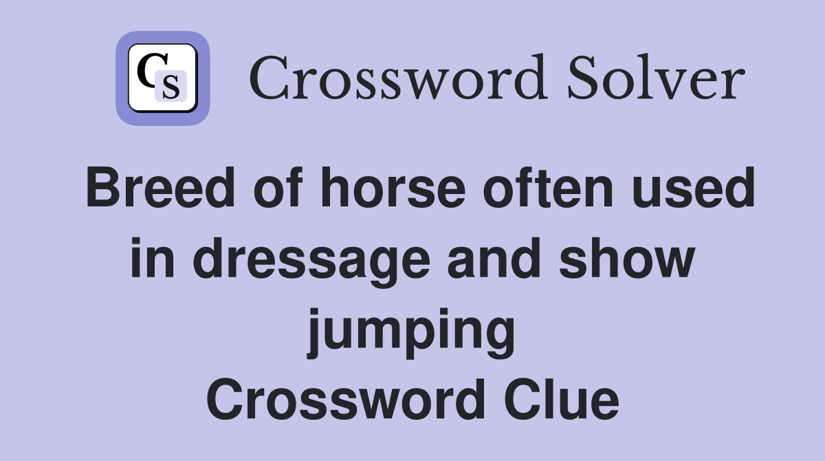 Breed of horse often used in dressage and show jumping Crossword Clue