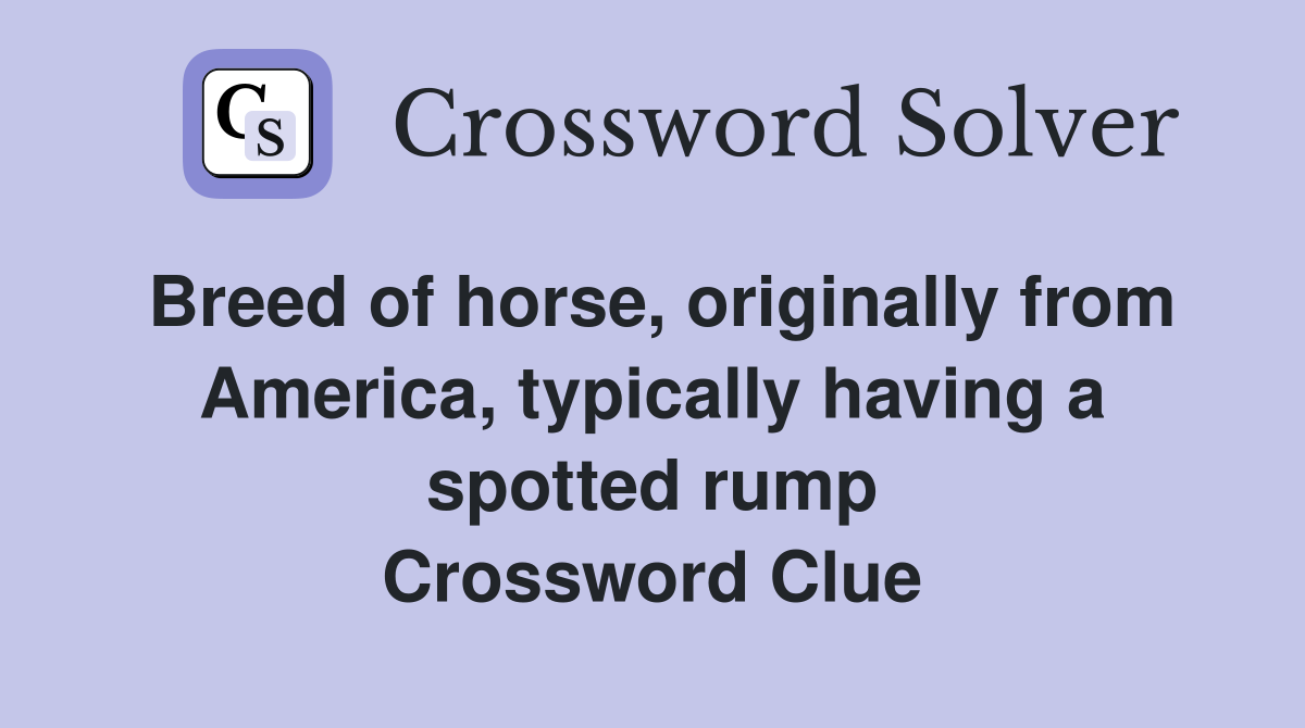 Breed of horse, originally from America, typically having a spotted rump Crossword Clue