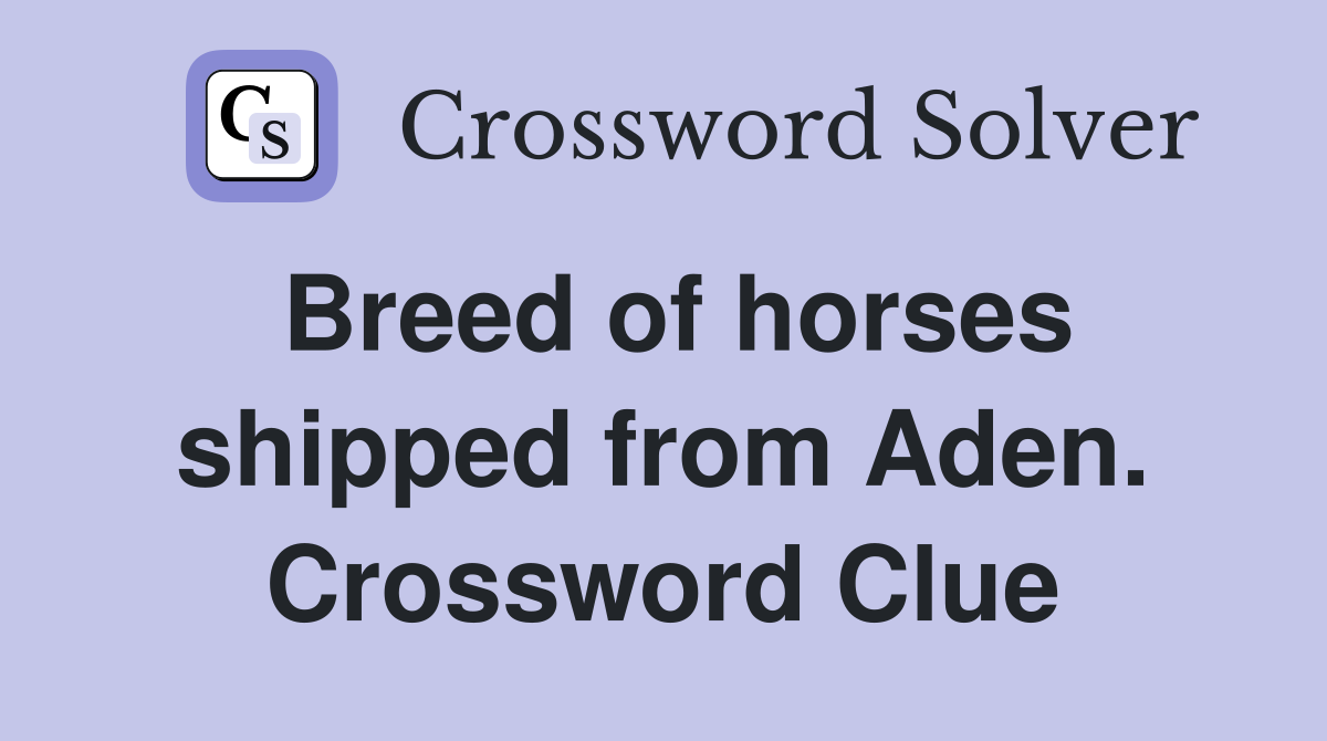 Breed of horses shipped from Aden. Crossword Clue
