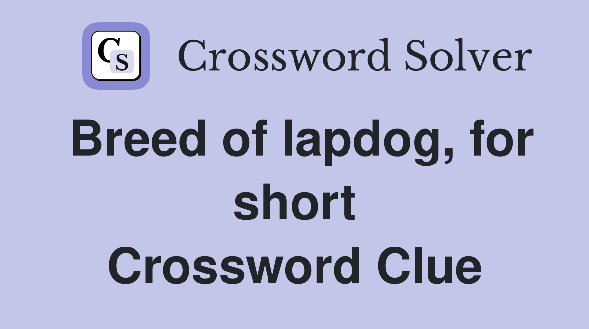 Breed of lapdog, for short Crossword Clue