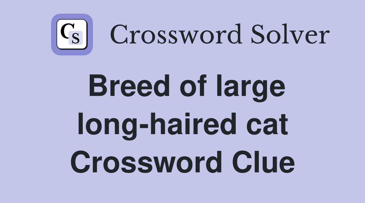 Breed of large long-haired cat Crossword Clue