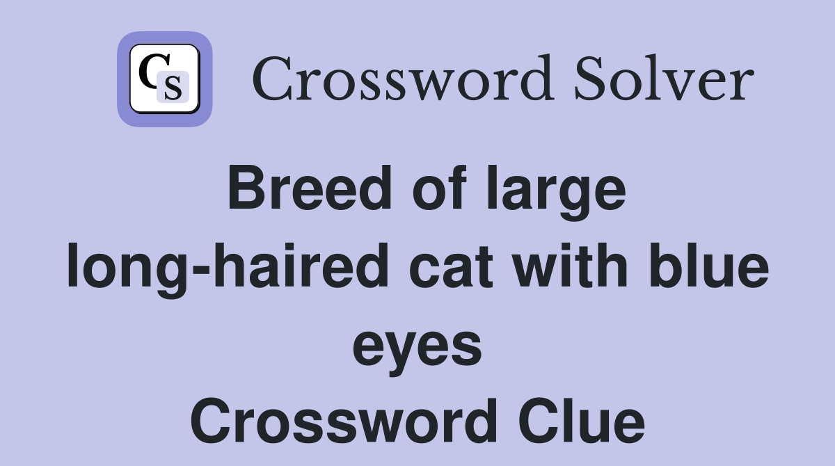 Breed of large long-haired cat with blue eyes Crossword Clue