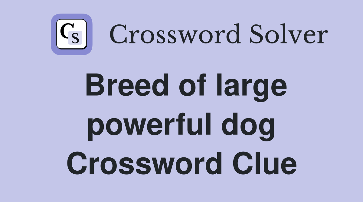 Breed of large powerful dog Crossword Clue