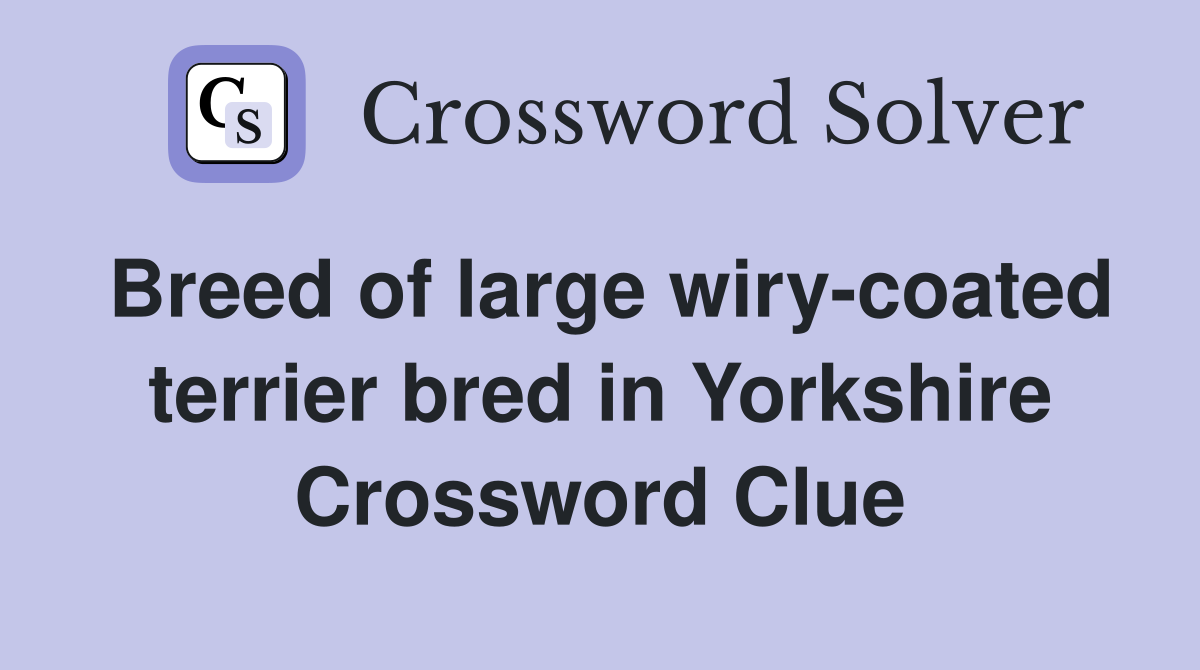 Breed of large wiry-coated terrier bred in Yorkshire Crossword Clue