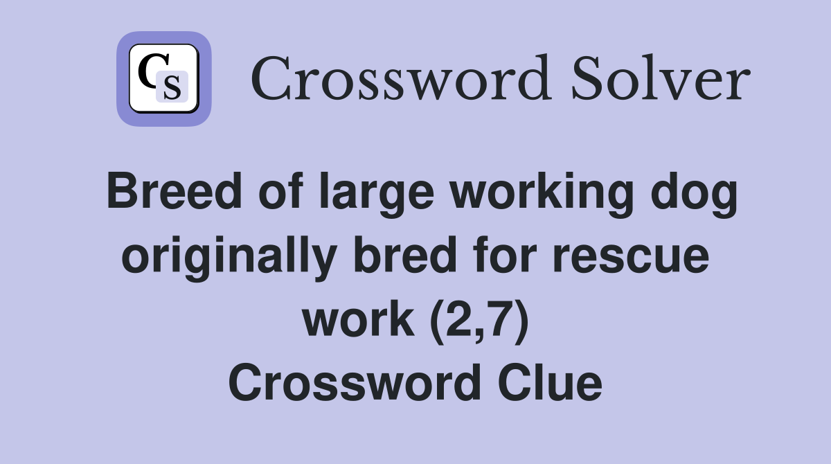 Breed of large working dog originally bred for rescue work (2,7) Crossword Clue