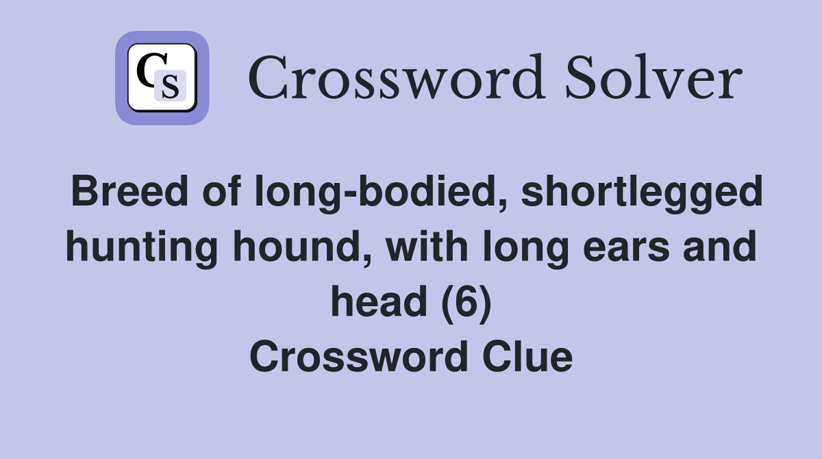 Breed of long-bodied, shortlegged hunting hound, with long ears and head (6) Crossword Clue