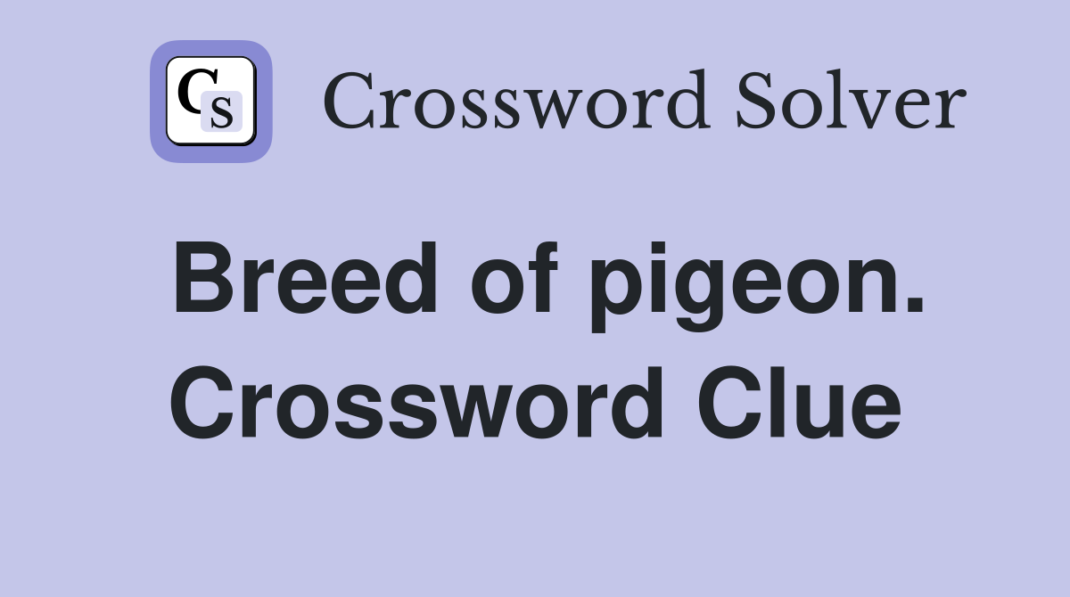 Breed of pigeon. Crossword Clue