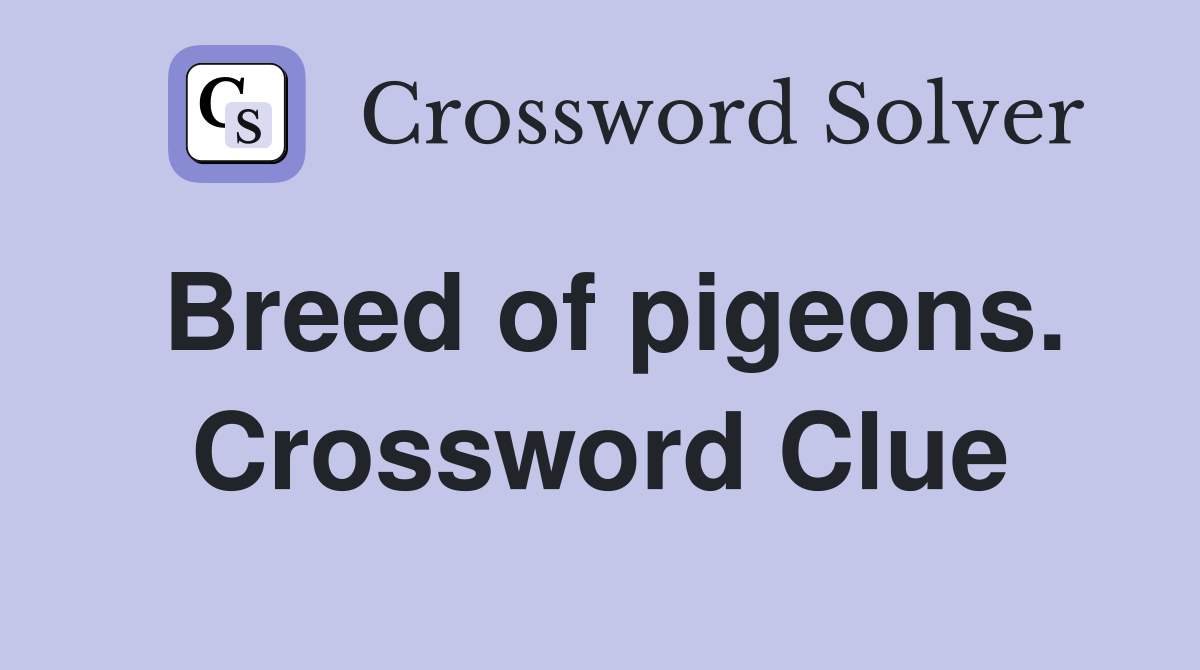 Breed of pigeons. Crossword Clue